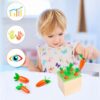 joc-montessori-morcov-din-lemn-info Joc Montessori Morcov din lemn, grafic cu o fetiță blondă care scoate un morcov din cutie și trei pictograme grafic