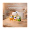 set-5-squishy-panda-info Set 5 squishy panda, grafic SpOki cu cutia, trei panda în costume