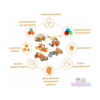 set-de-constructie-stem-technik-5-in-1-info Set de construcție STEM Technik 5 în 1, infografic cu modelele în centru și șase pictograme cu text despre forme